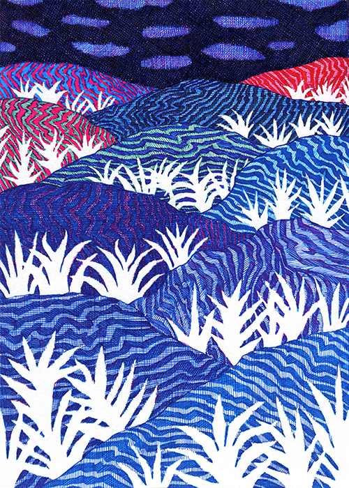 http://www.kevinlucbert.com/files/gimgs/77_fleurs-de-nuit.jpg